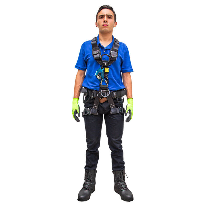 NEXO Arnés de suspensión con 5 argollas en D y sistema de extracción vertical NEXO